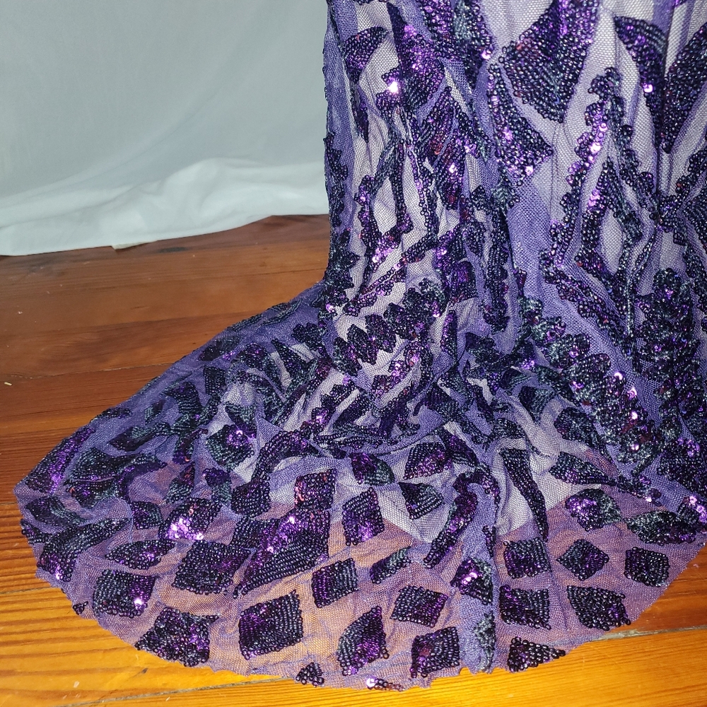 Gorgeous Purple Sequin, Floor-length, Designer Gown - Picture 3 of 9